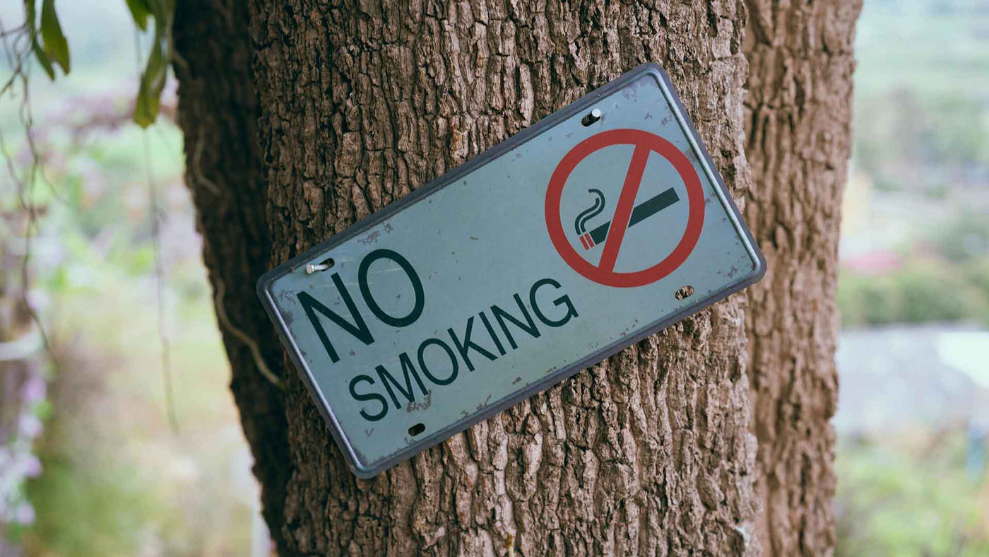 no smoking sign on tree bark