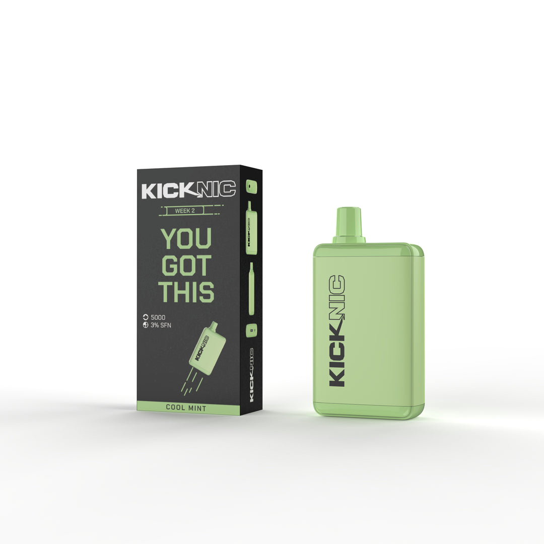 KickNic Vape Kit - By Well Versed – Ziip Stick