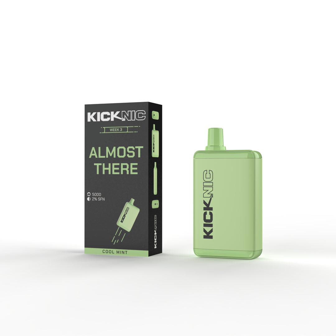 KickNic Vape Kit - By Well Versed – Ziip Stick