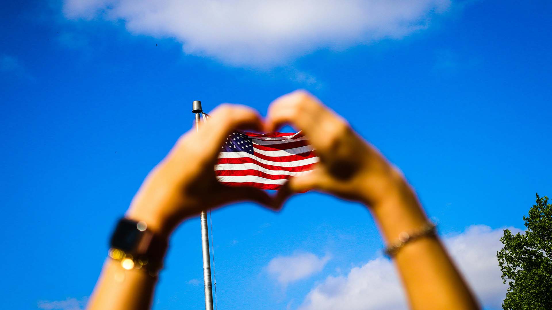 9 Best Disposable Vapes Made in USA (2025)