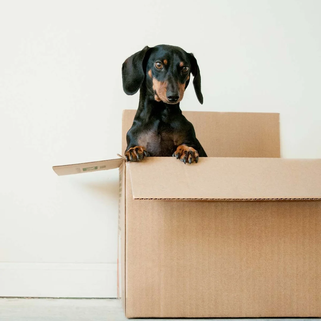 Free Shipping on Orders Over $75